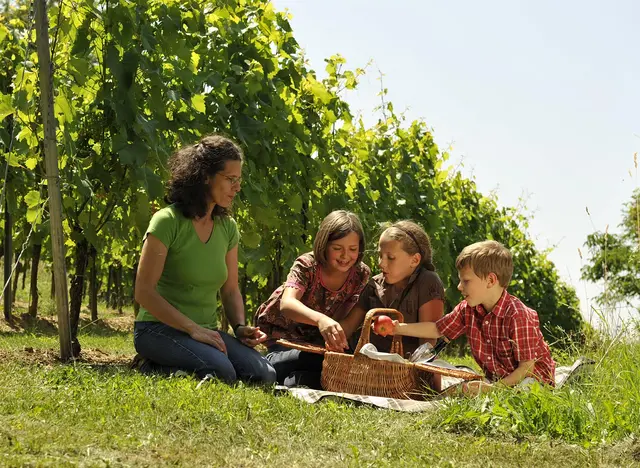Wandern in den Weinbergen - © Landsichten.de, Susanne Mölle Eine Familie macht während einer Weinbergwanderung eine Picknickpause mit Kindern beim Urlaub auf dem Weingut.