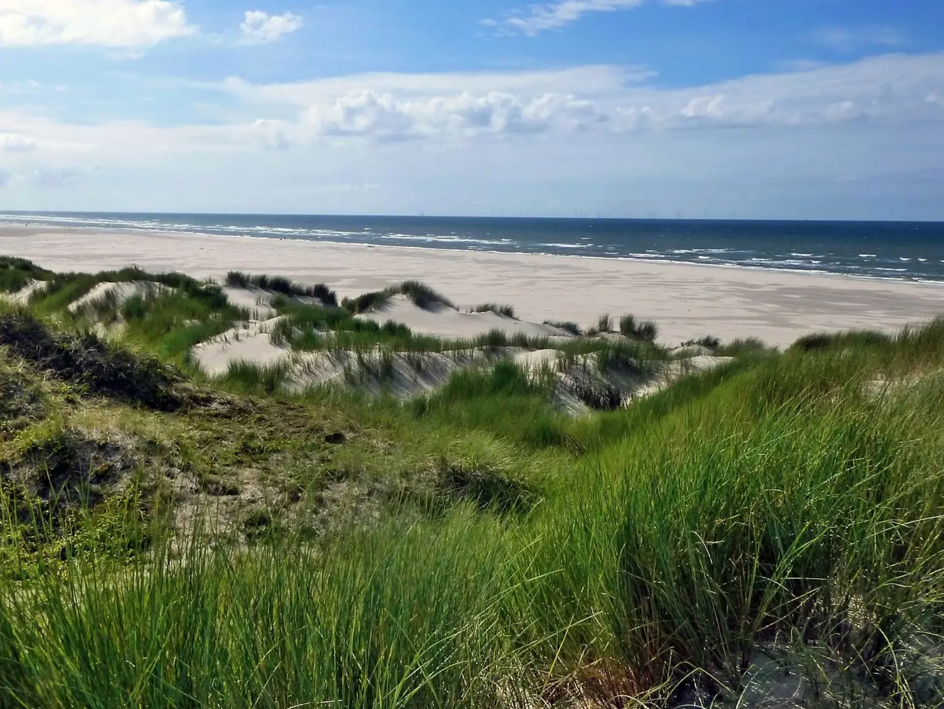 im Urlaub in Ostfriesland an der Nordsee am Strand spazieren gehen