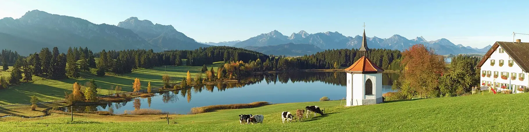 Urlaub auf dem Bauernhof im Allgäu verbringen