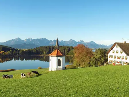 Urlaub auf dem Bauernhof im Allgäu verbringen