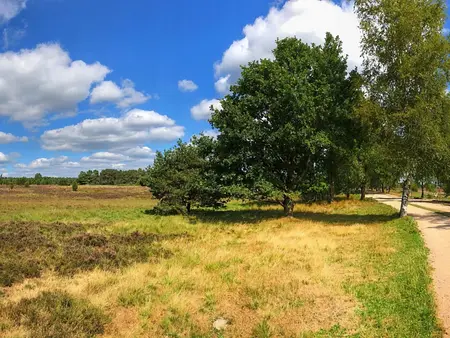 Urlaub in Wald und Heide - Wandern, Rad fahren und reiten in der Lüneburger Heide