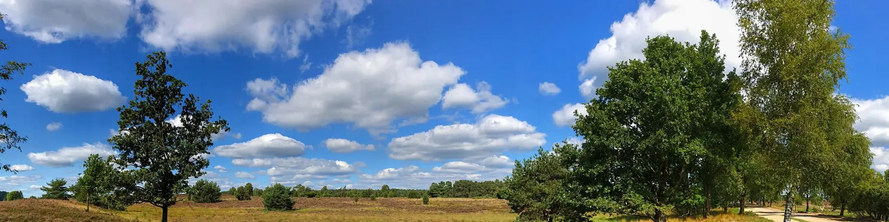 Urlaub in Wald und Heide - Wandern, Rad fahren und reiten in der Lüneburger Heide