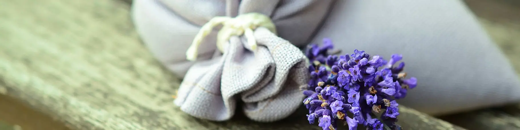 mit frischen Wildblumen auf dem Urlaubshof in Thüringen entspannen