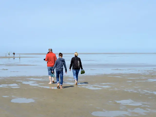 Familie von hinten bei einer Wattwanderung an der Nordsee