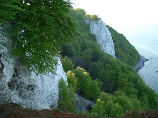 Den Blick vom Königsstuhl auf das "weiße Gold" der Kreideküste genießen.