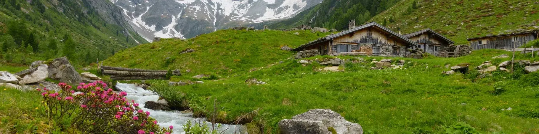 Urlaub in der Alm- oder Berghütte in den Alpen, im Schwarzwald oder im Harz.