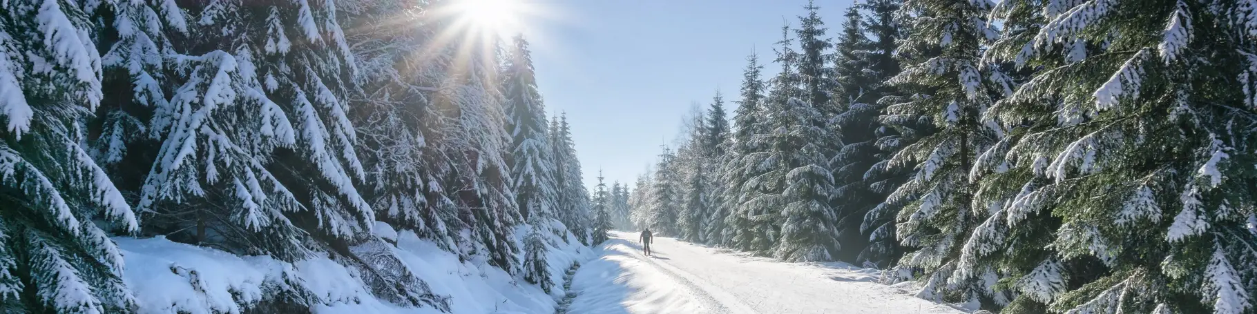 Weg in verschneiten Wald an einem sonnigen Tag im Winter