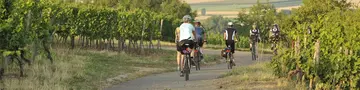Radfahren auf dem Moselradweg - © Landsichten.de, Susanne Mölle Radfahren im Aktivurlaub auf dem Land