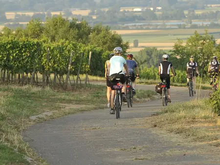 Radfahren im Aktivurlaub auf dem Land