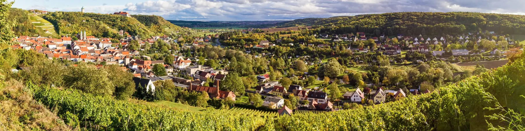 Die Weinstadt Freyburg an der Unstrut