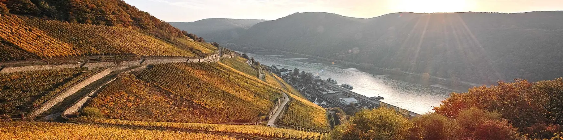 Von den Weinberge bei Assmannshausen bietet sich ein herrlicher Ausblick ins Rheingau.