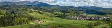Blick in den Schwarzwald - © Pixabay.com, analogicus im Urlaub auf dem Bauernhof im Schwarzwald beimn Wandern herrliche Ausblicke genießen