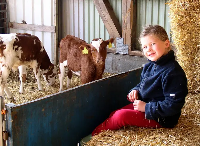 im Urlaub auf dem Kinderhof an der Nordsee Tierkinder streicheln und füttern