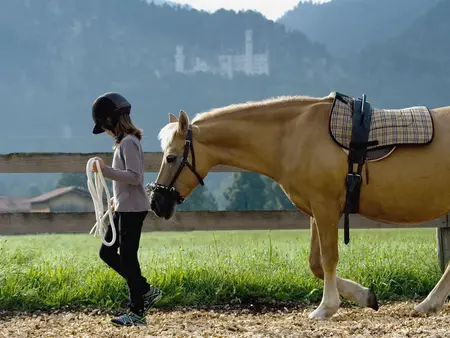 im Urlaub auf dem Reiterhof in Bayern Reitstunden auf dem Reitplatz bekommen