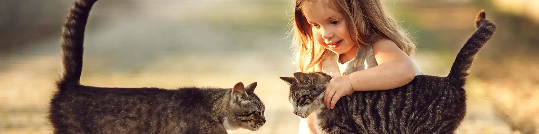 im Urlaub auf dem Kinderbauernhof spielen Kinder mit den Katzen