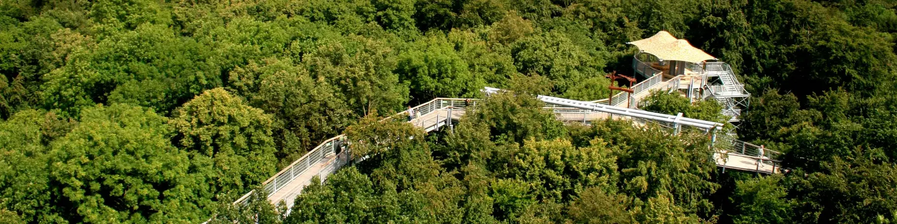 im Urlaub am Nationalpark Hainich den Baumkronenpfad besuchen