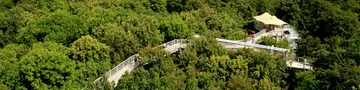 Baumkronenpfad im Nationalpark Hainich - © Thüringer Tourismus GmbH im Urlaub am Nationalpark Hainich den Baumkronenpfad besuchen