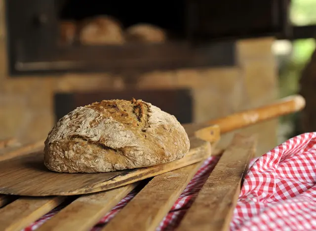 Frisch gebackenes Brot im Hofladen einkaufen