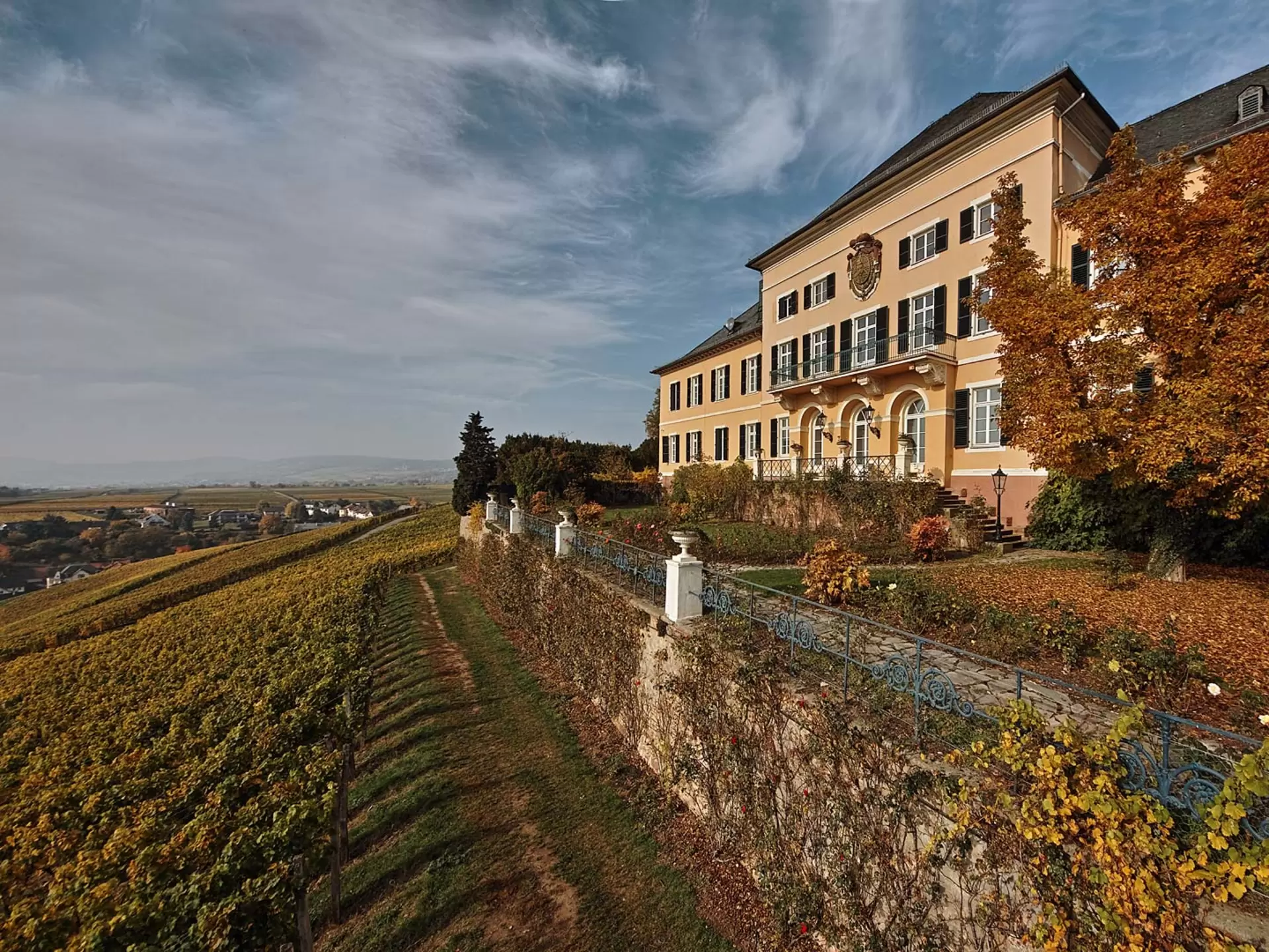 Schloss Johannisberg in Geisenheim ist ein traditionsreiches Weingut im Rheingau.