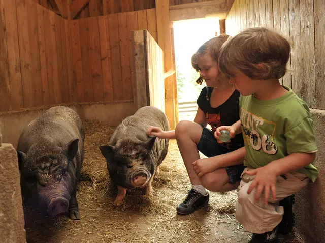 Familienurlaub auf dem Bauernhof: Kinder helfen bei der Stallarbeit und füttern Tiere