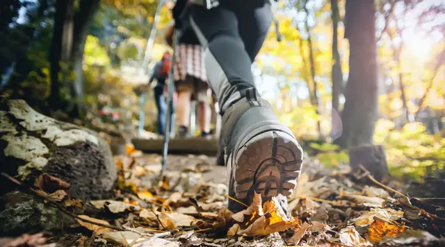Wandern auf einem Waldweg im Herbst - © leszekglasner, adobe stock Person wandert auf einem Waldweg im Herbst