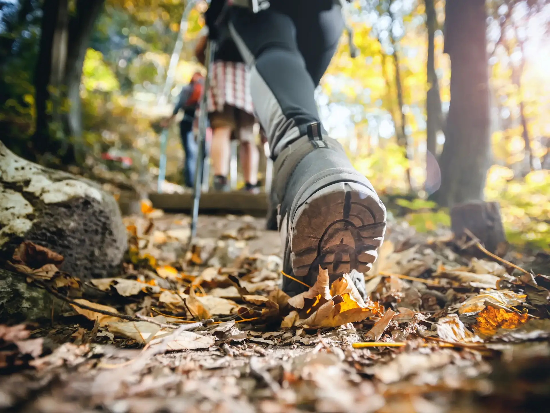 Wandern auf einem Waldweg im Herbst - © leszekglasner, adobe stock Person wandert auf einem Waldweg im Herbst
