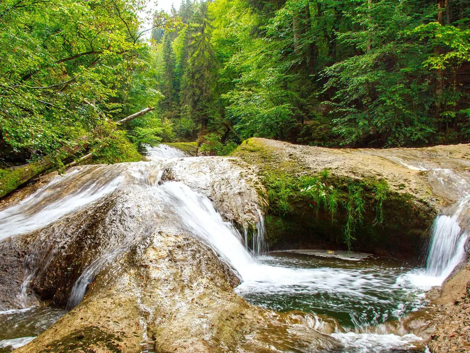 im Urlaub auf dem Bauernhof im Allgäu zur Eistobel - Schlucht wandern