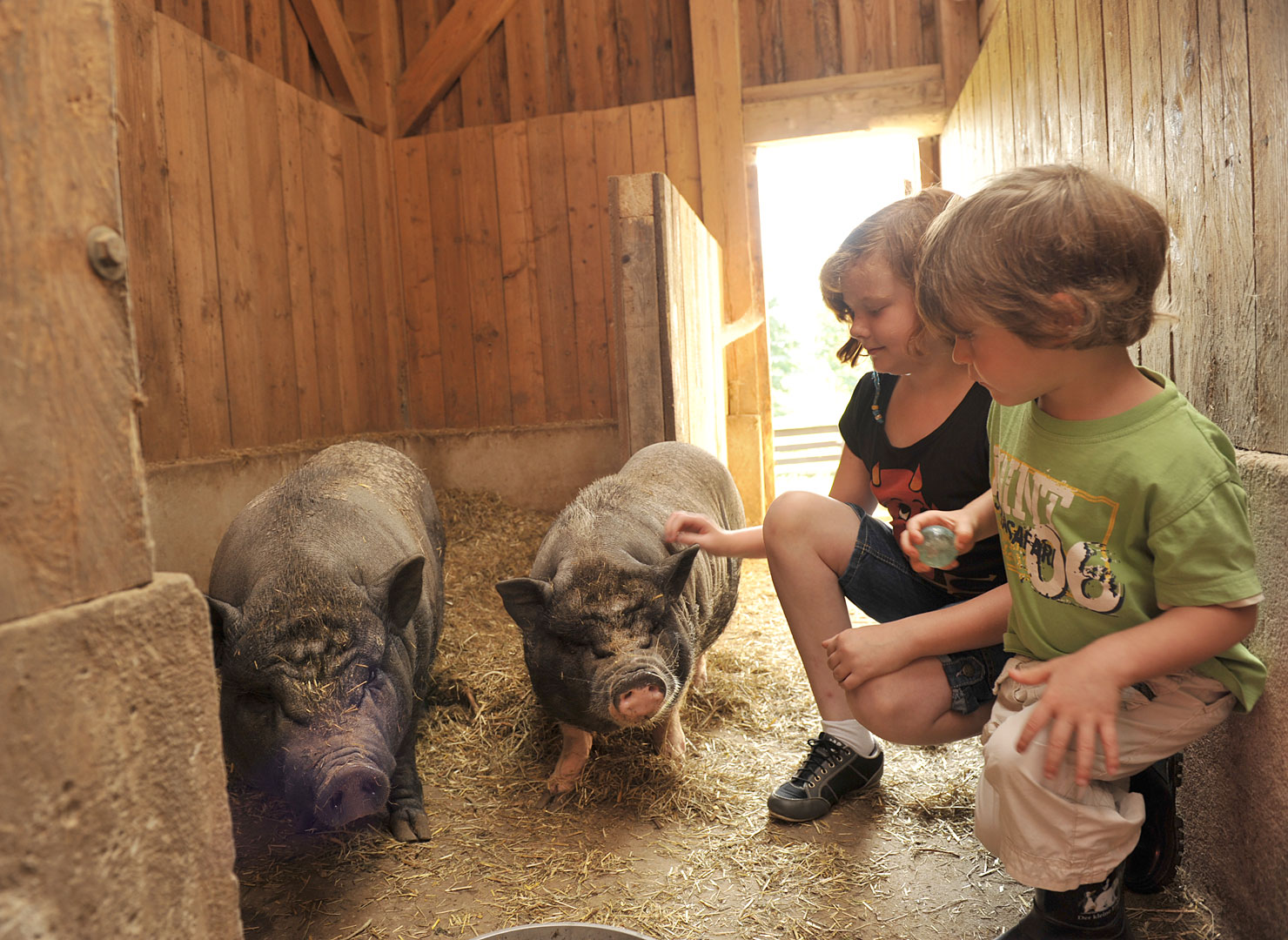 Bauernhofurlaub Und Land Urlaub In Hessen Ferienwohnung Kinder Familienurlaub Kurzurlaub Landsichten De