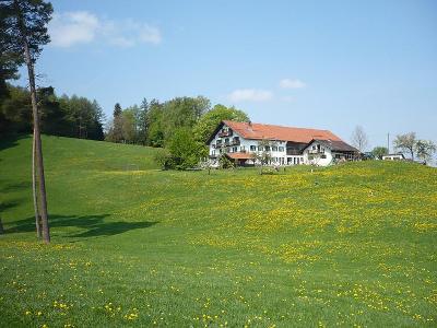 Streicherhof im Frühling