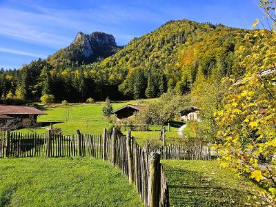 Herbstblick