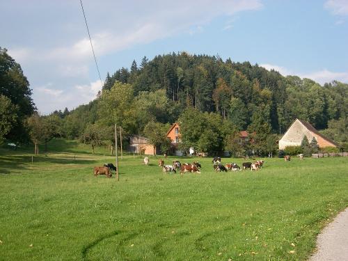 Ferienhof Sturm - Deggenhausertal