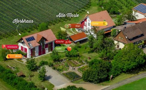 Übersicht über den Oberhof