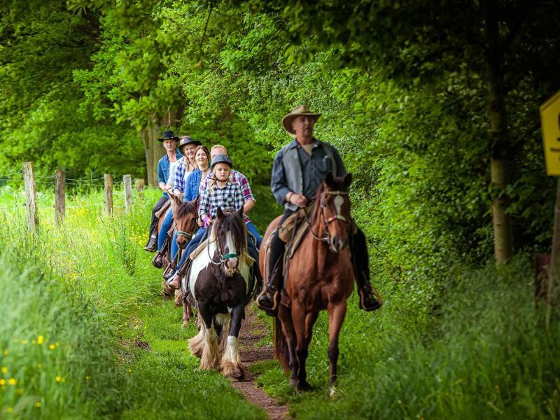 Westernreiter in der Rhön