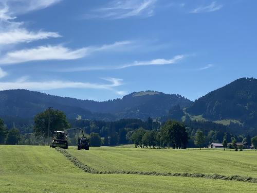 Beim Silieren