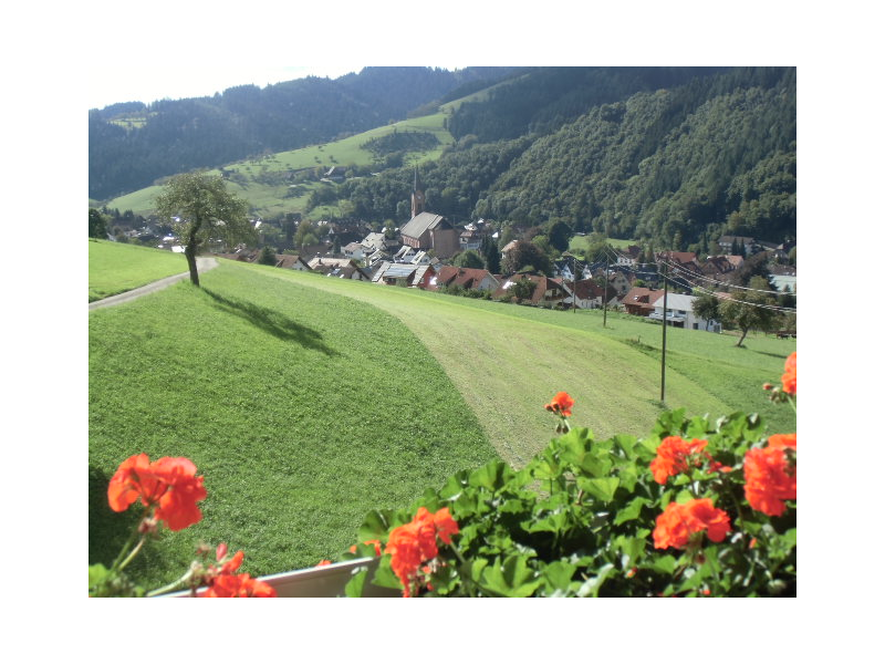 fussbuehlhof_blick_balkon