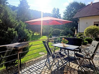 Blick von der Terrasse in den Garten